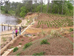 Bank Grading Landscape Restore